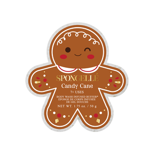 Gingerbread Body Wash Sponge