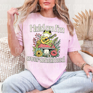 🐸 Hold On, I’m Overwhelmed 🌸