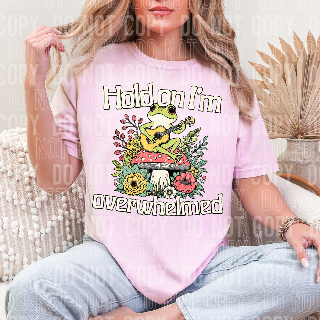 🐸 Hold On, I’m Overwhelmed 🌸