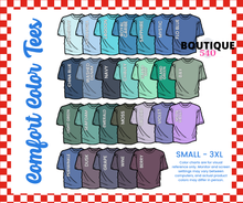 Load image into Gallery viewer, MERICA Embroidered Tee
