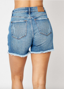 Judy Blue Frayed Jean Shorts